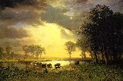 Albert Bierstadt The_Buffalo_Trail oil painting on canvas
